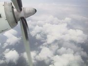 画像(180x135)・拡大画像(640x480)