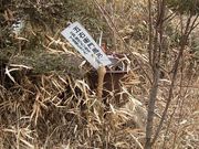 画像(180x135)・拡大画像(640x480)