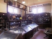 画像(180x135)・拡大画像(640x480)