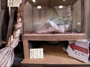 画像(180x135)・拡大画像(640x480)