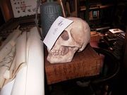 画像(180x135)・拡大画像(640x480)