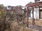 画像(180x135)・拡大画像(640x480)