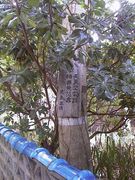 画像(135x180)・拡大画像(480x640)