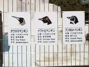 2000年秋 四都物語