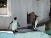 画像(180x135)・拡大画像(640x480)