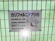 画像(180x135)・拡大画像(640x480)