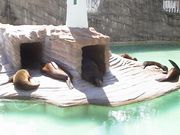 画像(180x135)・拡大画像(640x480)