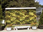 画像(180x135)・拡大画像(640x480)