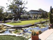 画像(180x135)・拡大画像(640x480)