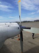 画像(135x180)・拡大画像(480x640)