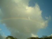 画像(180x135)・拡大画像(640x480)