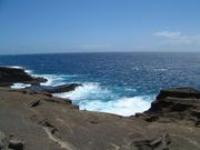 画像(180x135)・拡大画像(640x480)