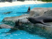 画像(180x135)・拡大画像(640x480)