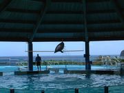 画像(180x135)・拡大画像(640x480)