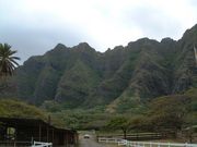 画像(180x135)・拡大画像(640x480)