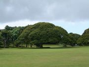 画像(180x135)・拡大画像(640x480)