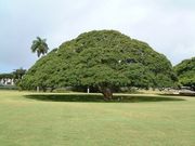 画像(180x135)・拡大画像(640x480)