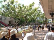 画像(180x135)・拡大画像(640x480)