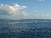 画像(180x135)・拡大画像(640x480)