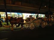 画像(180x135)・拡大画像(640x480)