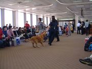 画像(180x135)・拡大画像(640x480)