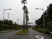 画像(180x135)・拡大画像(640x480)