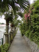 画像(135x180)・拡大画像(480x640)