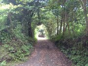 画像(180x135)・拡大画像(640x480)