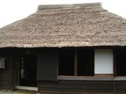 2001年初夏 大島4時間半滞在記