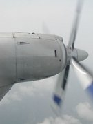 画像(135x180)・拡大画像(480x640)