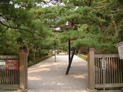 画像(180x135)・拡大画像(640x480)