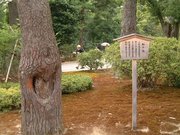 画像(180x135)・拡大画像(640x480)