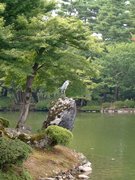 画像(135x180)・拡大画像(480x640)