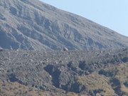 画像(180x135)・拡大画像(640x480)