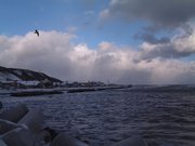 画像(180x135)・拡大画像(640x480)