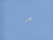 画像(180x135)・拡大画像(640x480)