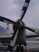 画像(135x180)・拡大画像(480x640)