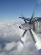 画像(135x180)・拡大画像(480x640)