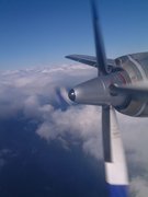 画像(135x180)・拡大画像(480x640)