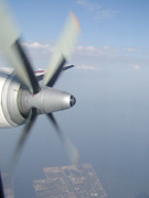 画像(135x180)・拡大画像(480x640)