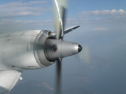 画像(180x135)・拡大画像(640x480)