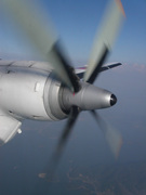 画像(135x180)・拡大画像(480x640)