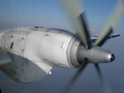 画像(180x135)・拡大画像(640x480)