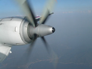 画像(180x135)・拡大画像(640x480)