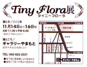 画像(180x139)・拡大画像(442x342)