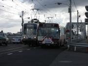 画像(180x135)・拡大画像(640x480)