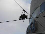 画像(180x135)・拡大画像(640x480)