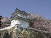 画像(180x135)・拡大画像(640x480)