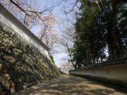 画像(180x135)・拡大画像(640x480)