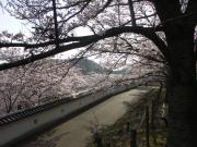 画像(180x135)・拡大画像(640x480)